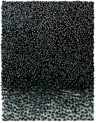 Cho Sung Hee, Black with Green Blossom white stars, 2019